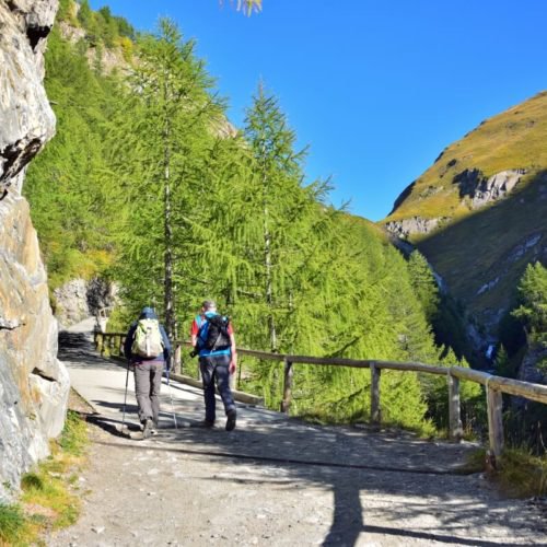 Chalets Südtirol - Ferienregion Gitschberg Jochtal 2