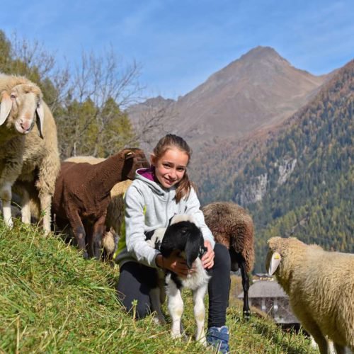 chalet leitner ferienregion gitschberg jochtal (53)