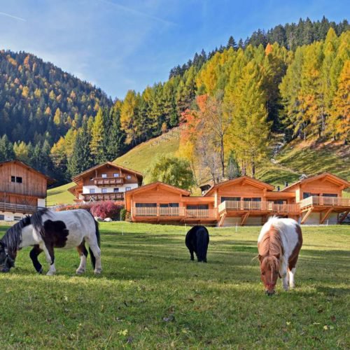 chalet-leitner-regione-turistica-gitschberg-jochtal-33