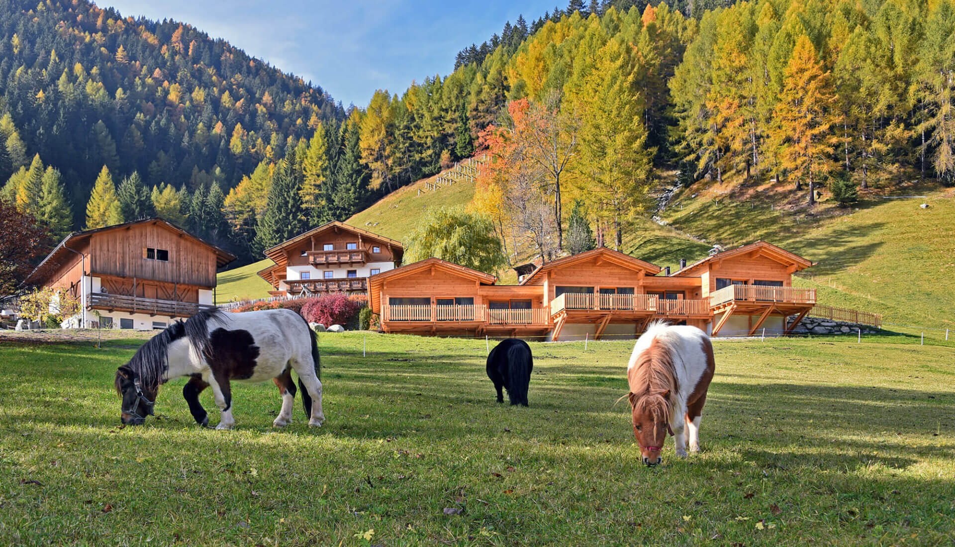 alpenchalet gitschberg jochtal