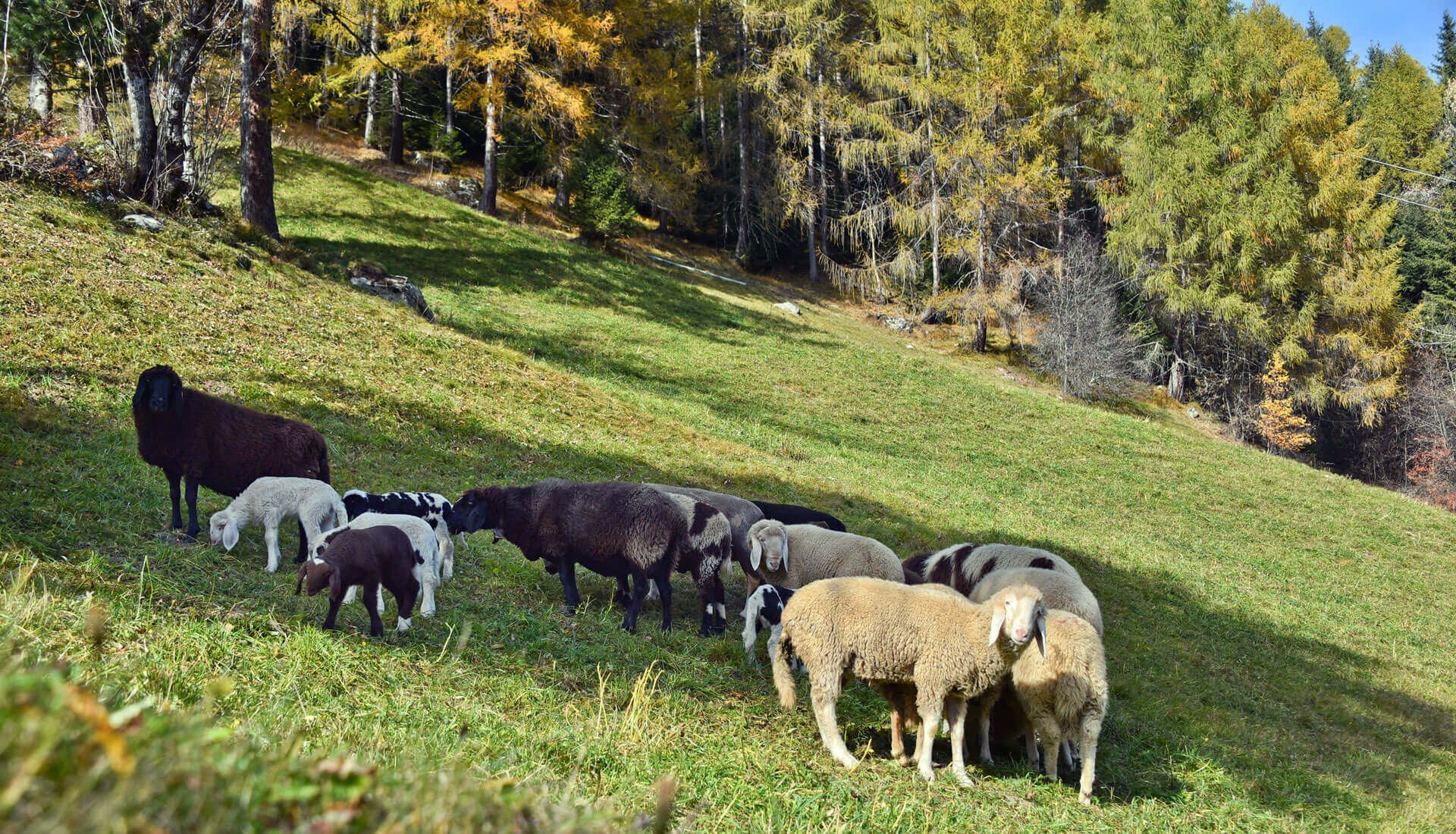 wandern-in-vals-eisacktal