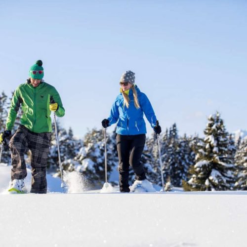 Sanft durch den Schnee - Schneeschuhwandern 3